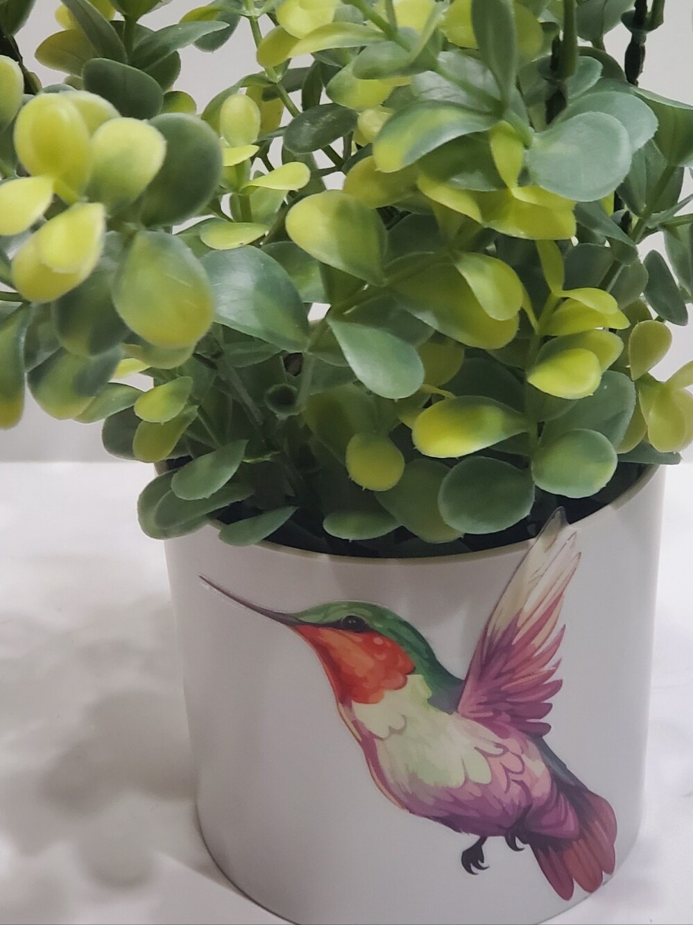Light Up Plant - Picture 8 of 16